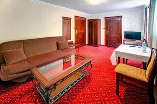 Отель Hotel Zajazd Polonez Tuczempy Двухместный номер Делюкс с 1 кроватью-4